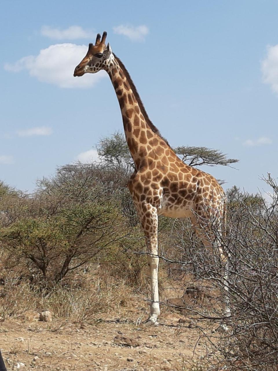 Sandai Resort Lake Baringo 올 코크웨 외부 사진